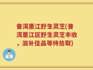 普洱墨江野生灵芝(普洱墨江区野生灵芝丰收，滋补佳品等待拾取)