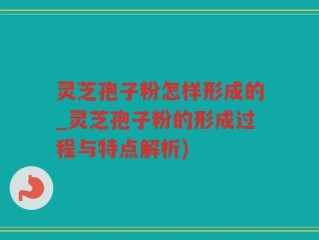 灵芝孢子粉怎样形成的_灵芝孢子粉的形成过程与特点解析)
