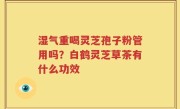 湿气重喝灵芝孢子粉管用吗？白鹤灵芝草茶有什么功效