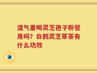 湿气重喝灵芝孢子粉管用吗？白鹤灵芝草茶有什么功效