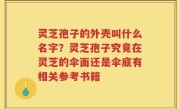 灵芝孢子的外壳叫什么名字？灵芝孢子究竟在灵芝的伞面还是伞底有相关参考书籍