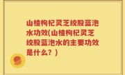 山楂枸杞灵芝绞股蓝泡水功效(山楂枸杞灵芝绞股蓝泡水的主要功效是什么？)