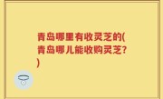 青岛哪里有收灵芝的(青岛哪儿能收购灵芝？)