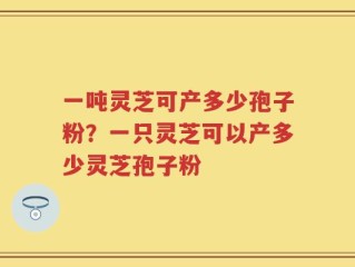 一吨灵芝可产多少孢子粉？一只灵芝可以产多少灵芝孢子粉