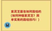 紫灵芝菌包如何栽培的(如何种植紫灵芝？简单实用的栽培技巧！)