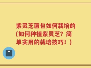 紫灵芝菌包如何栽培的(如何种植紫灵芝？简单实用的栽培技巧！)