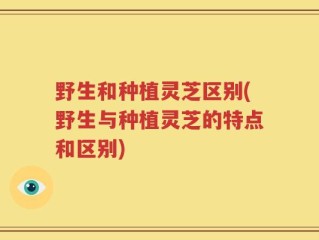 野生和种植灵芝区别(野生与种植灵芝的特点和区别)