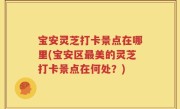 宝安灵芝打卡景点在哪里(宝安区最美的灵芝打卡景点在何处？)