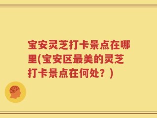 宝安灵芝打卡景点在哪里(宝安区最美的灵芝打卡景点在何处？)