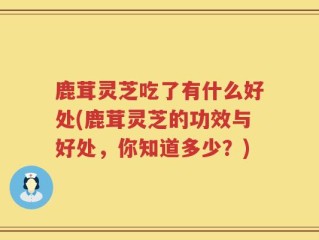 鹿茸灵芝吃了有什么好处(鹿茸灵芝的功效与好处，你知道多少？)