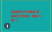 黄冈灵芝养殖基地(黄冈灵芝养殖场：重磅开幕！)
