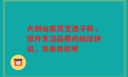 大别山紫灵芝孢子粉，提升生活品质的绝佳伴侣，快来体验吧