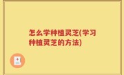 怎么学种植灵芝(学习种植灵芝的方法)