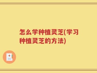 怎么学种植灵芝(学习种植灵芝的方法)