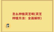 怎么种植灵芝呢(灵芝种植方法：全面解析)