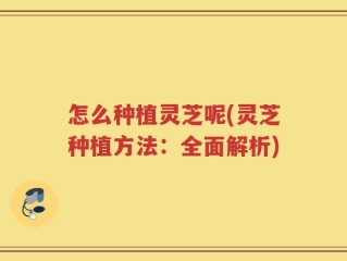 怎么种植灵芝呢(灵芝种植方法：全面解析)