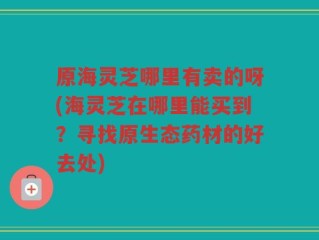 原海灵芝哪里有卖的呀(海灵芝在哪里能买到？寻找原生态药材的好去处)
