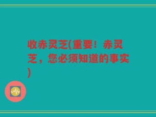 收赤灵芝(重要！赤灵芝，您必须知道的事实)