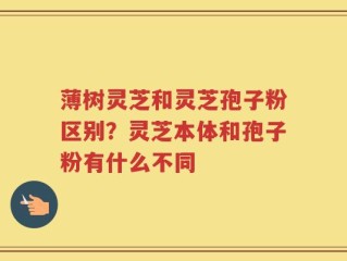 薄树灵芝和灵芝孢子粉区别？灵芝本体和孢子粉有什么不同