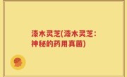 漆木灵芝(漆木灵芝：神秘的药用真菌)