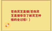 苍南灵芝直播(苍南灵芝直播带您了解灵芝种植的全过程！)