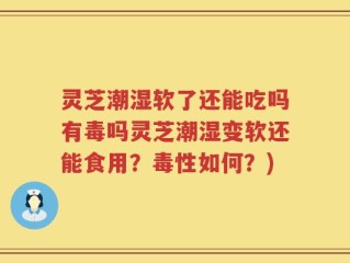 灵芝潮湿软了还能吃吗有毒吗灵芝潮湿变软还能食用？毒性如何？)