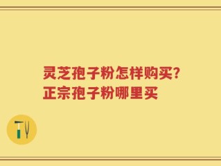 灵芝孢子粉怎样购买？正宗孢子粉哪里买