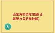 山茱萸和灵芝泡酒(山茱萸与灵芝酿佳酿)