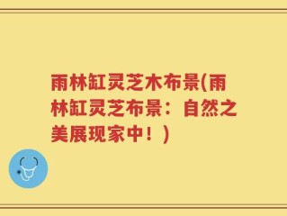 雨林缸灵芝木布景(雨林缸灵芝布景：自然之美展现家中！)