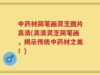 中药材简笔画灵芝图片高清(高清灵芝简笔画，揭示传统中药材之美！)