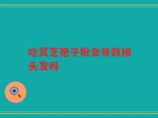 吃灵芝孢子粉会导致掉头发吗