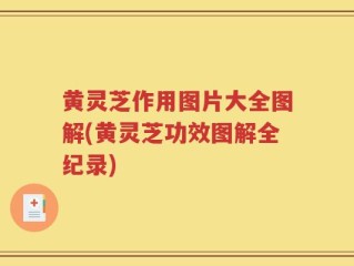 黄灵芝作用图片大全图解(黄灵芝功效图解全纪录)