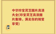 中华珍宝灵芝图片高清大全(珍宝灵芝高清图片集锦，满足你的视觉享受)