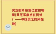灵芝照片采集位置在哪里(灵芝采集点在何处？——寻找灵芝的所在地)