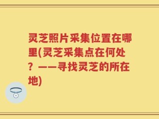 灵芝照片采集位置在哪里(灵芝采集点在何处？——寻找灵芝的所在地)