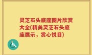 灵芝石头底座图片欣赏大全(精美灵芝石头底座展示，赏心悦目)
