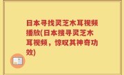 日本寻找灵芝木耳视频播放(日本搜寻灵芝木耳视频，惊叹其神奇功效)