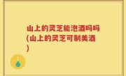 山上的灵芝能泡酒吗吗(山上的灵芝可制美酒)