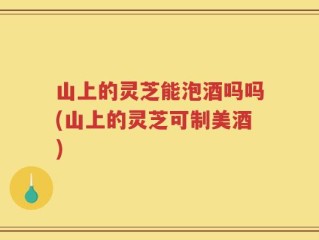 山上的灵芝能泡酒吗吗(山上的灵芝可制美酒)