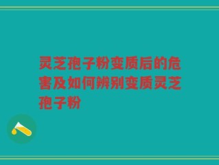 灵芝孢子粉变质后的危害及如何辨别变质灵芝孢子粉