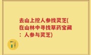 去山上挖人参找灵芝(在山林中寻找草药宝藏：人参与灵芝)