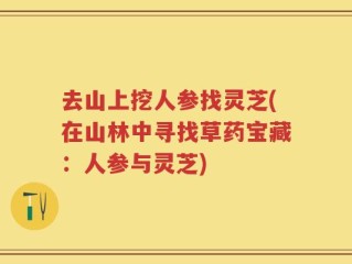 去山上挖人参找灵芝(在山林中寻找草药宝藏：人参与灵芝)