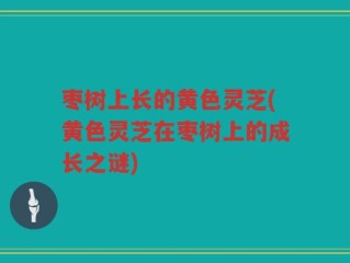 枣树上长的黄色灵芝(黄色灵芝在枣树上的成长之谜)