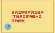 赤灵芝跟椴木灵芝区别(了解赤灵芝与椴木灵芝的区别)