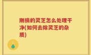 刚摘的灵芝怎么处理干净(如何去除灵芝的杂质)