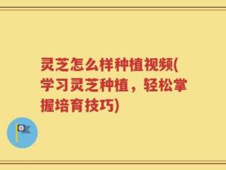 灵芝怎么样种植视频(学习灵芝种植，轻松掌握培育技巧)