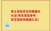 男士发型灵芝效果图片大全(男生发型参考：灵芝造型效果图汇总)