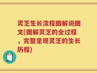 灵芝生长流程图解说图文(图解灵芝的全过程，完整呈现灵芝的生长历程)