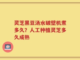 灵芝黑豆汤水破壁机煮多久？人工种植灵芝多久成熟