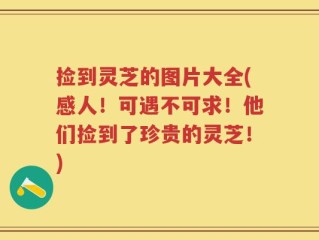 捡到灵芝的图片大全(感人！可遇不可求！他们捡到了珍贵的灵芝！)